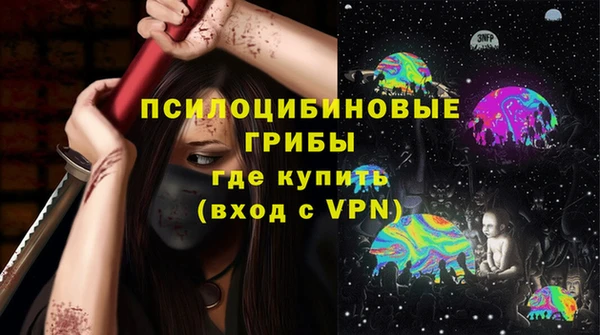 шишки Володарск