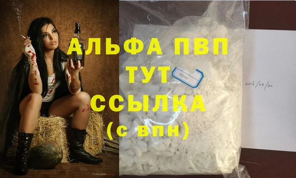 шишки Володарск