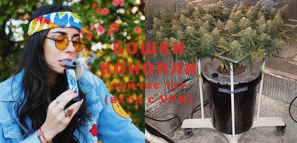 PSILOCYBIN Волосово