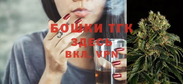 PSILOCYBIN Волосово