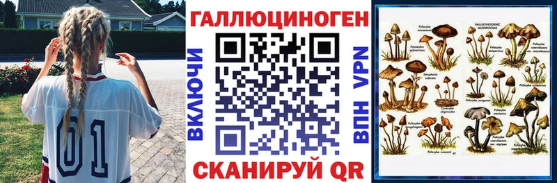Галлюциногенные грибы Psilocybe Купить Старица
